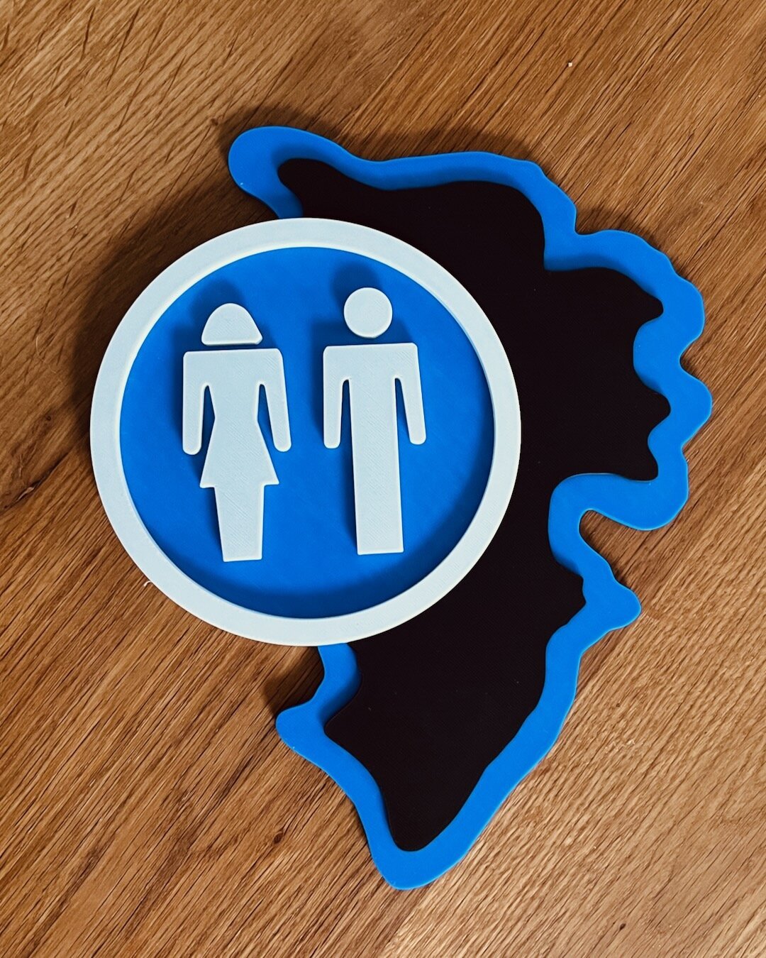 Foto zur Referenz „WC-Schild für Dino-Fans“